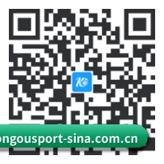 iOS 苹果生态原生版 二维码